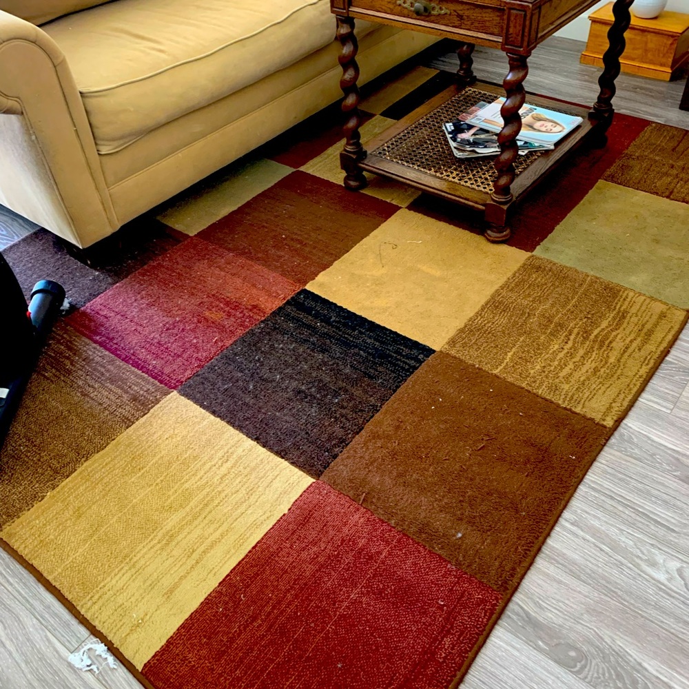 Large Area Rug